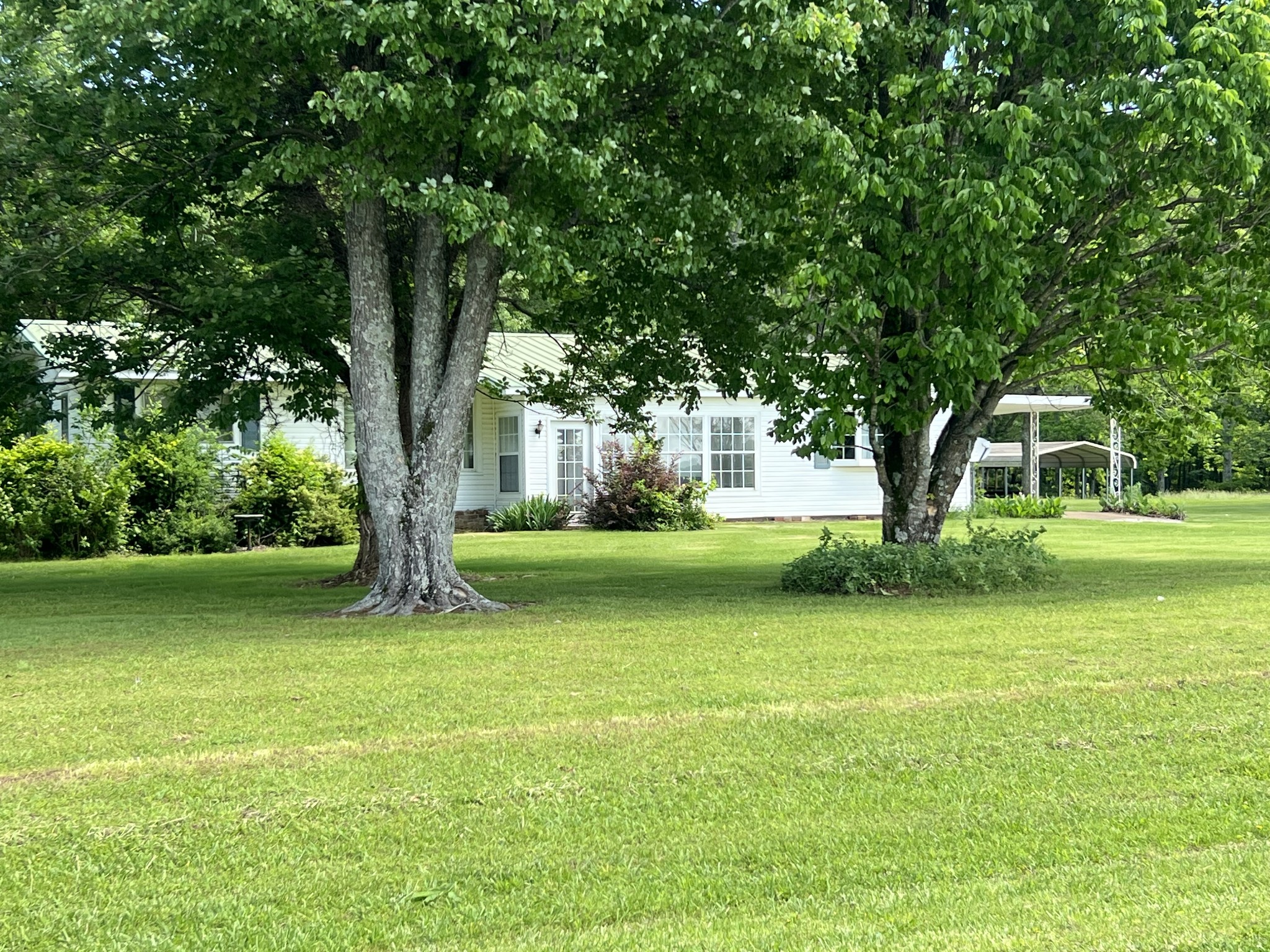 25 Mc Crory Road St. Joseph, TN 38481 - Photo 4 of 36 Gallery Image 4