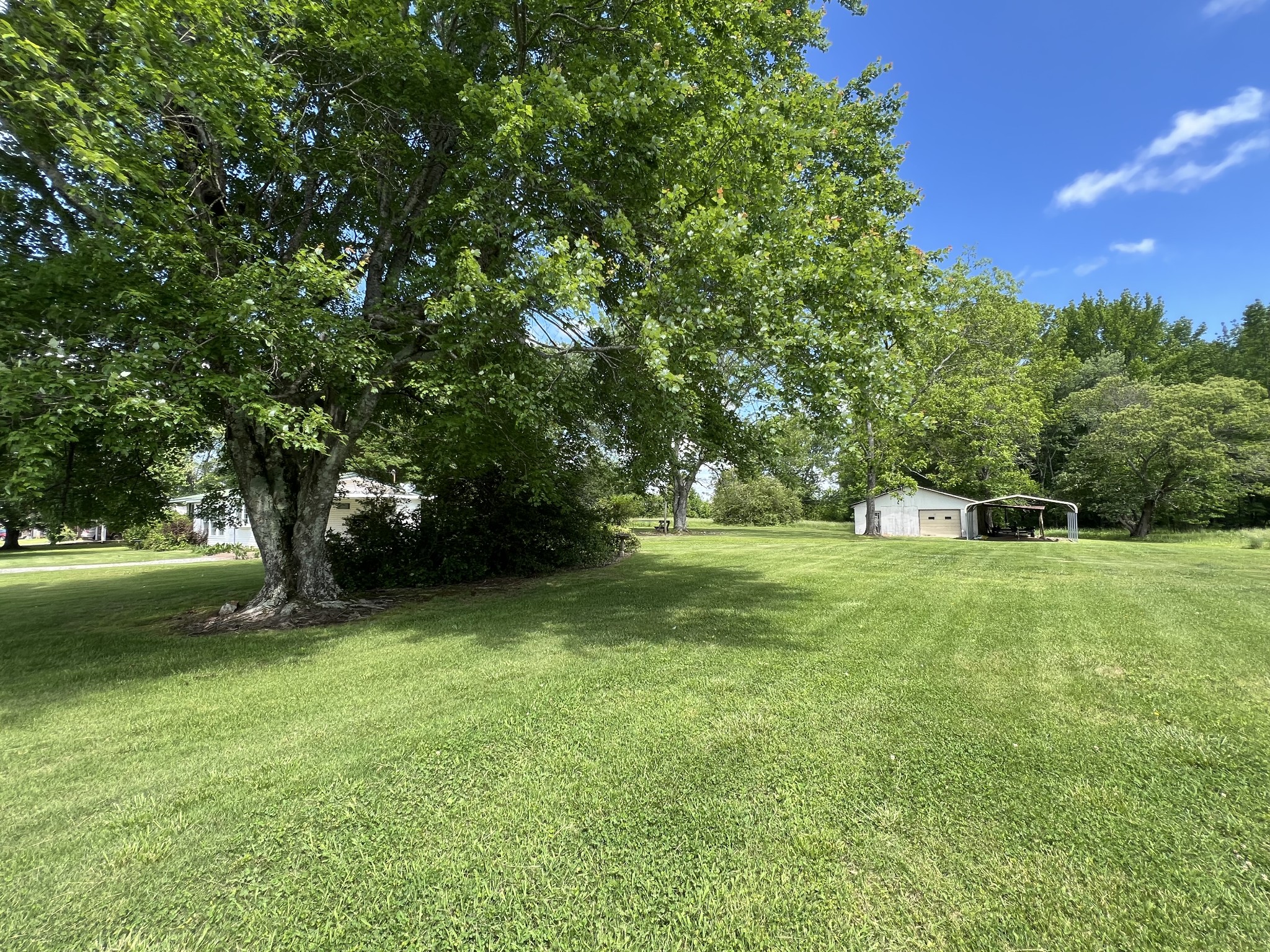 25 Mc Crory Road St. Joseph, TN 38481 - Photo 8 of 36 Gallery Image 8