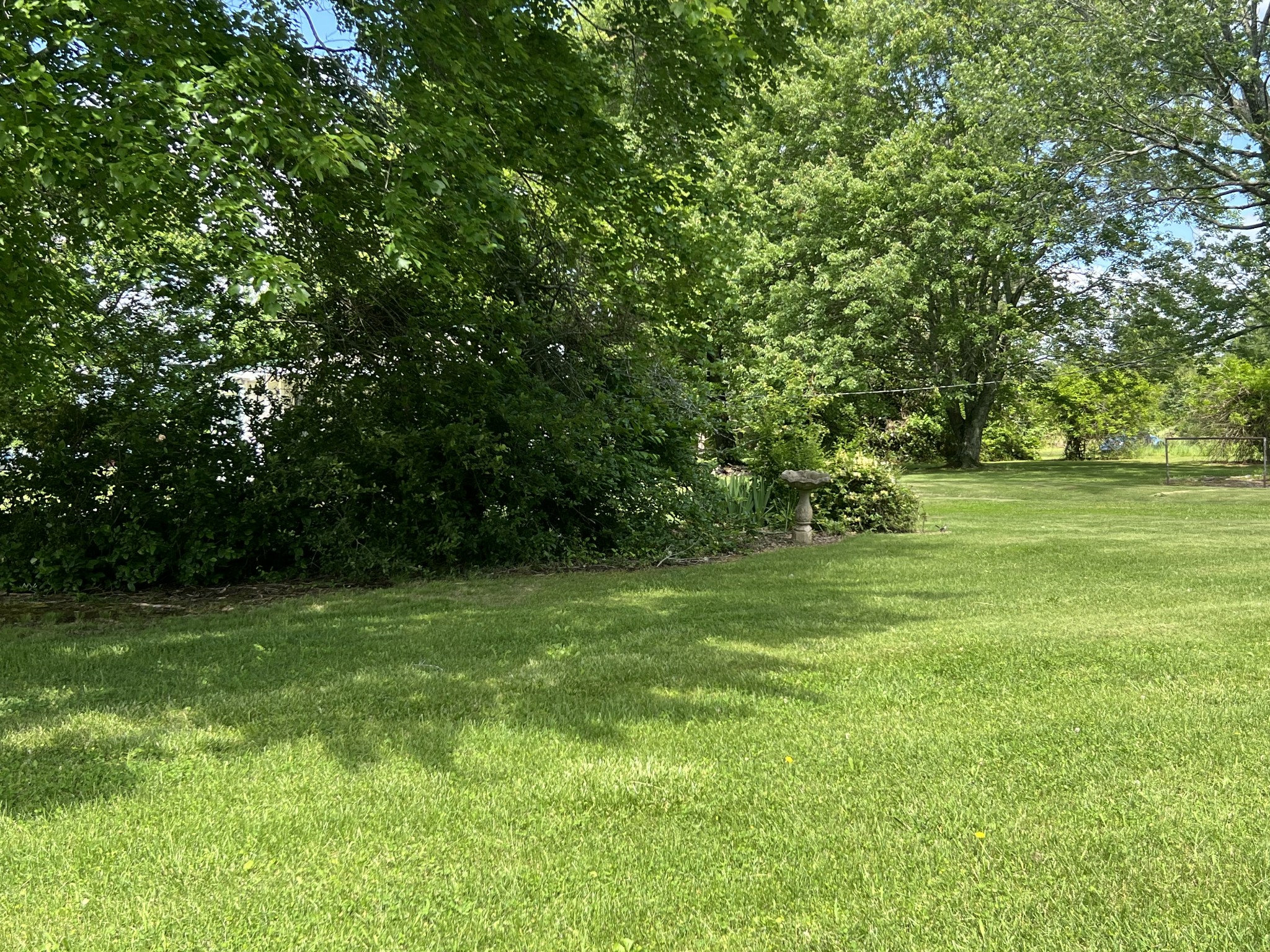 25 Mc Crory Road St. Joseph, TN 38481 - Photo 9 of 36 Gallery Image 9
