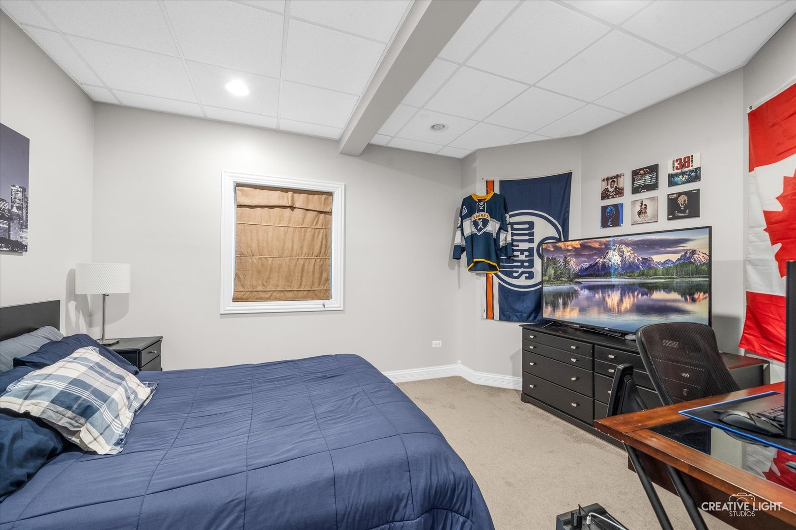 4119 Champion Road Naperville, IL 60564 - Photo 36 of 56