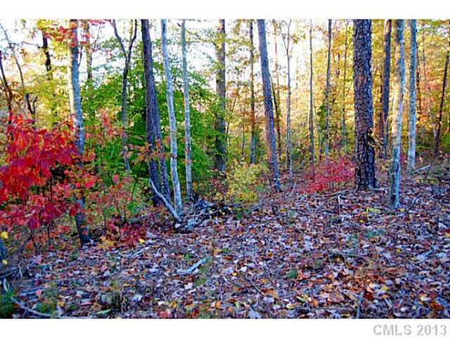 Lot 7 Ridgemont Drive, Unit 7 Denver, NC 28037 - Photo 1 of 11 Gallery Image 1