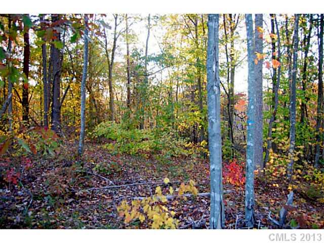 Lot 7 Ridgemont Drive, Unit 7 Denver, NC 28037 - Photo 3 of 11 Gallery Image 3