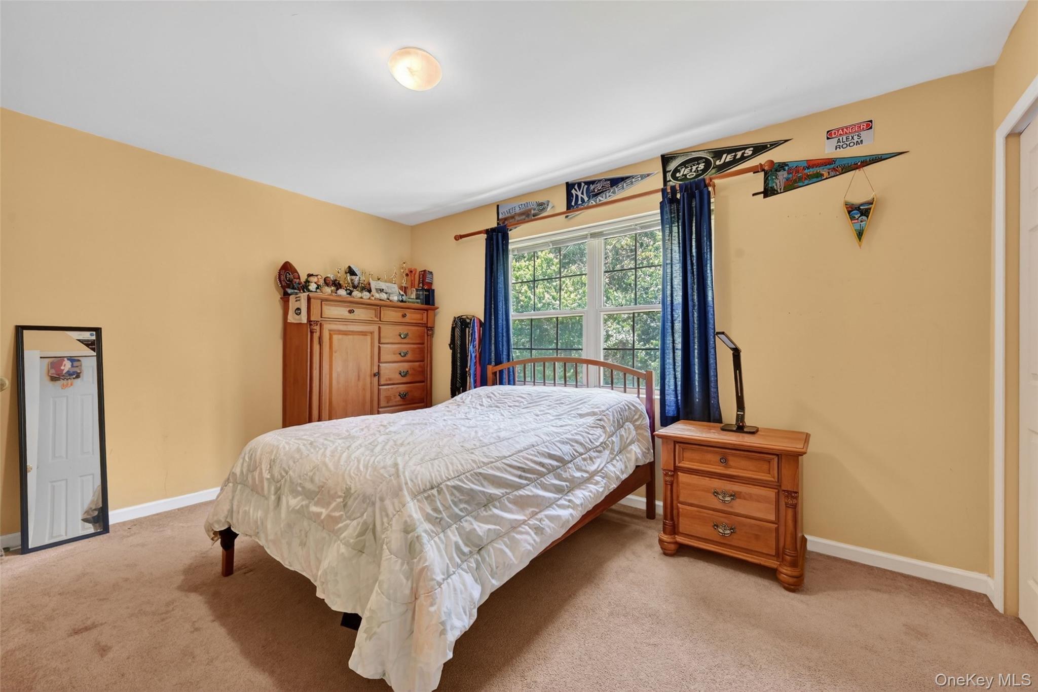 311 Rye Hill Road Monroe, NY 10950 - Photo 33 of 48