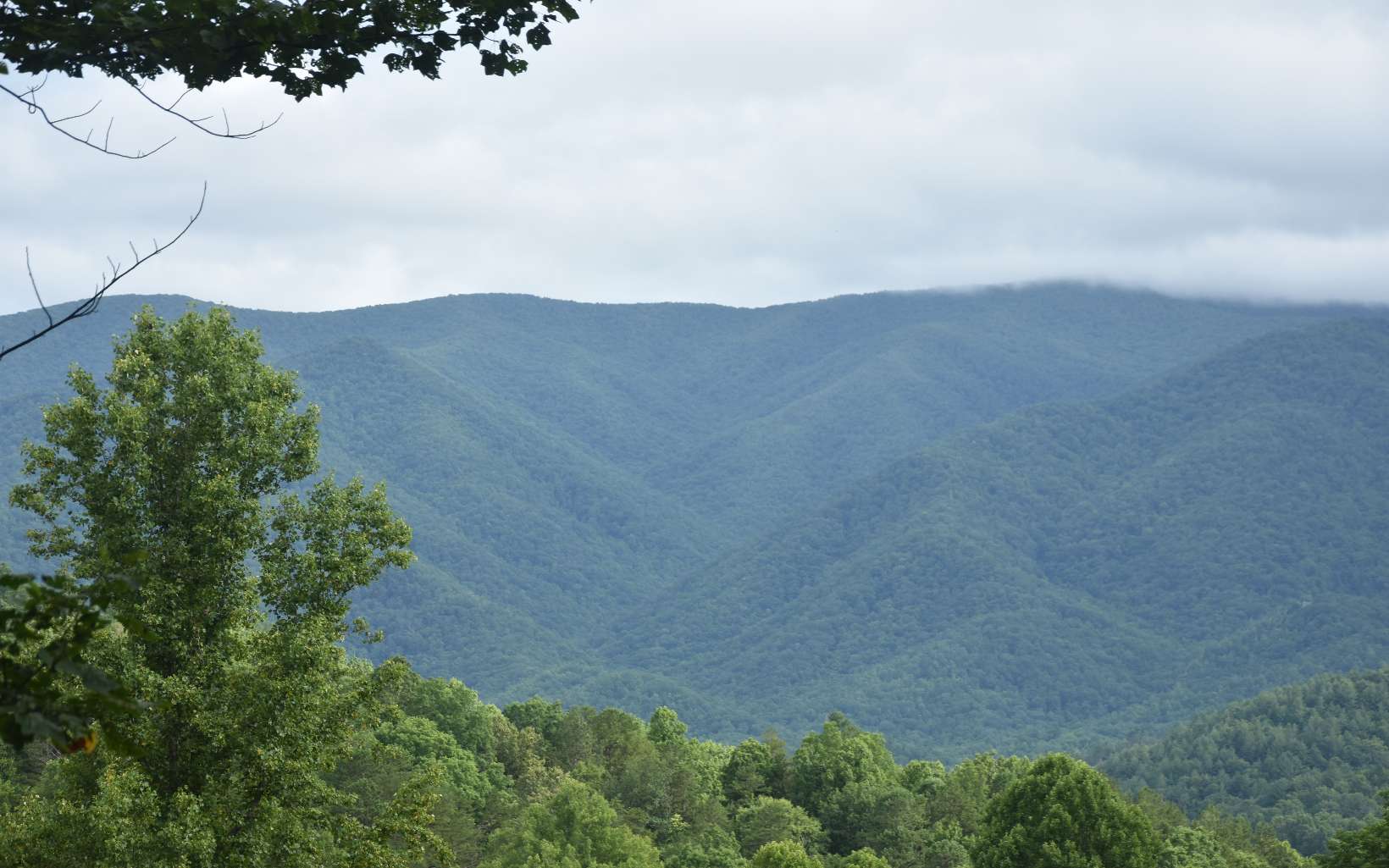 2306 Cold Branch Road Hayesville, NC 28904 - Photo 1 of 1 Main View