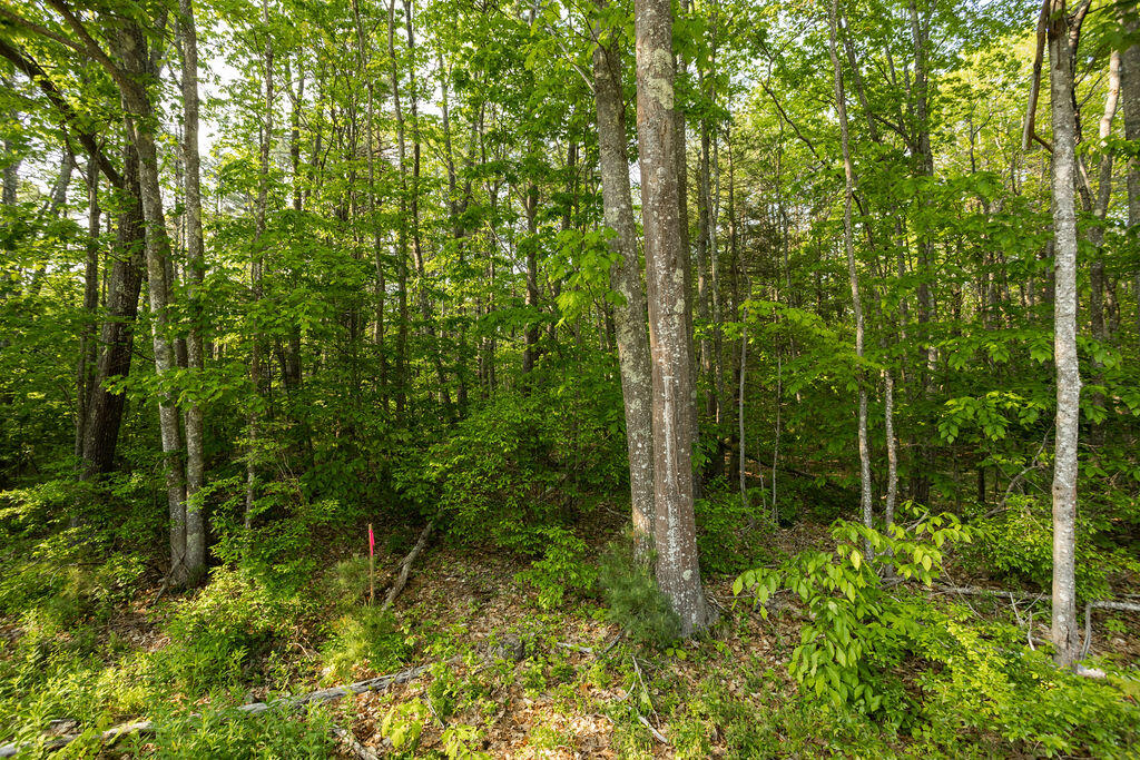 247 Mountain Road, Unit A Cape Neddick, ME 03902 - Photo 7 of 18 247 A Mountain Rd, Cape Neddick