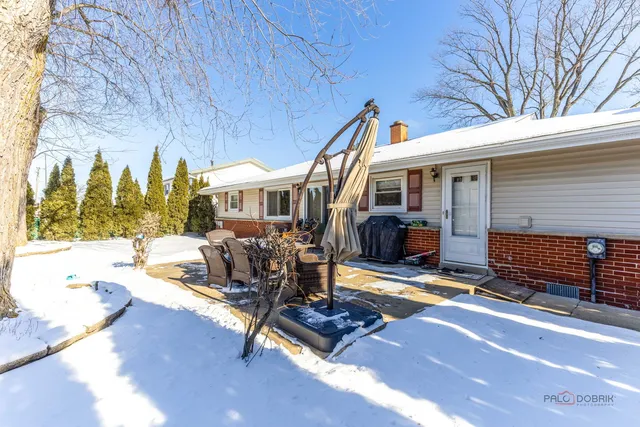 a view of backyard of the house