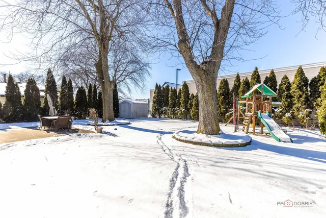 a view of a road with a trees