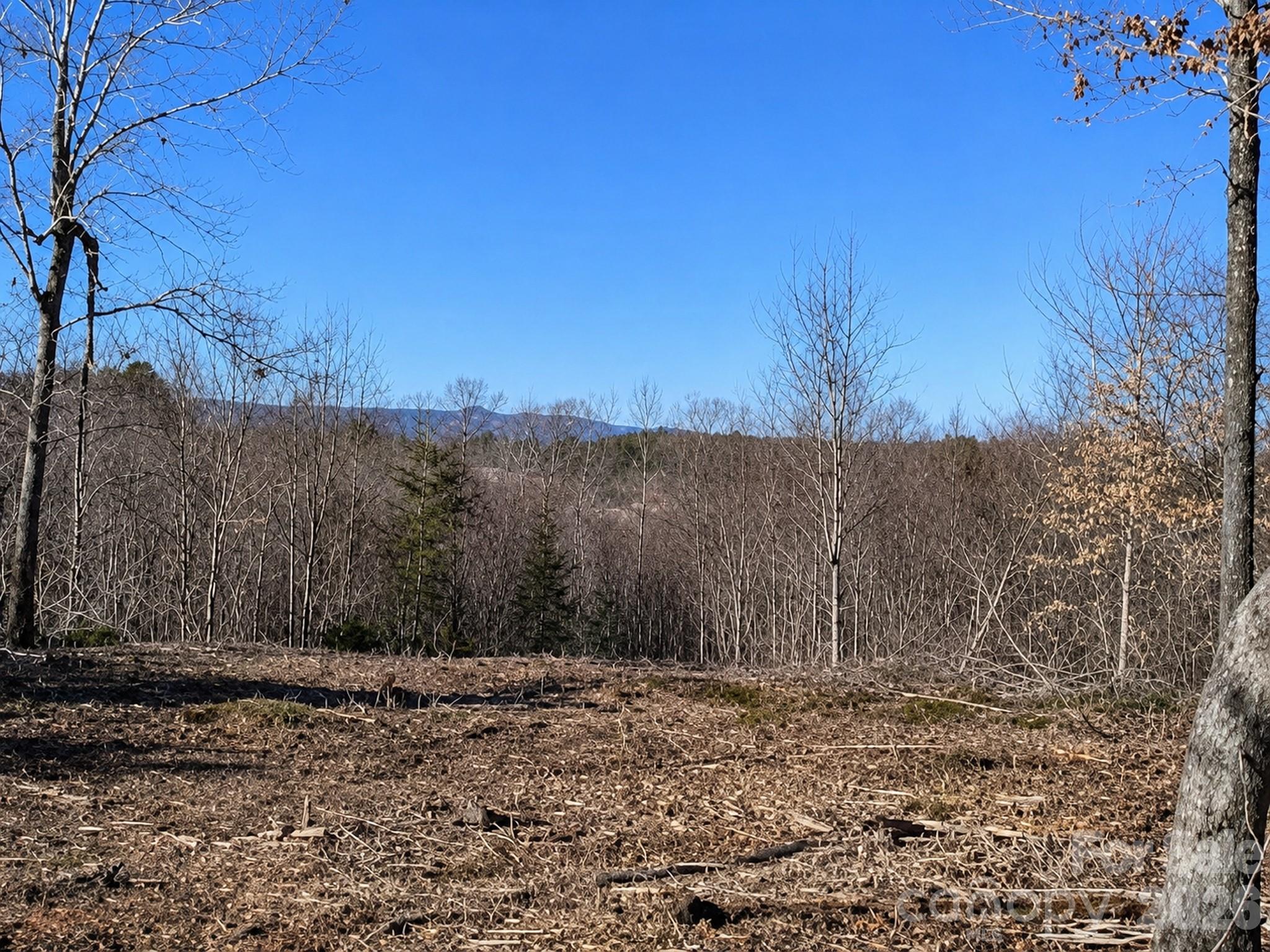 1981 Jamestown Road Morganton, NC 28655 - Photo 4 of 8