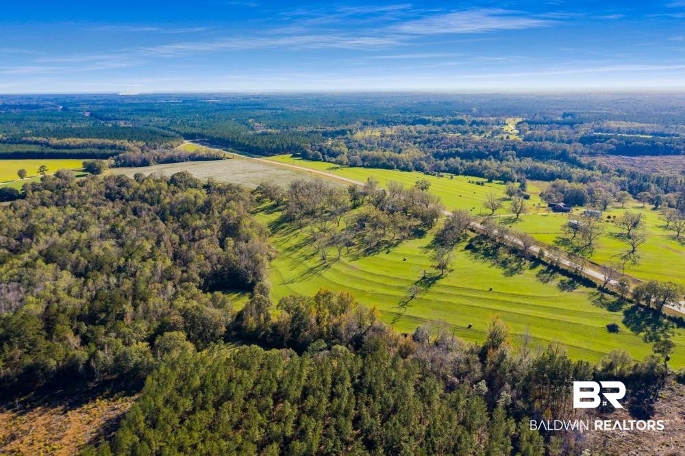 5469 County Road 55 Florala, AL 36442 - Photo 46 of 49