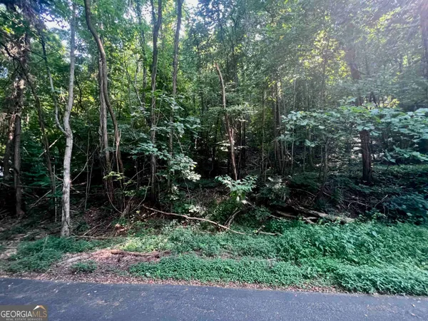 a view of outdoor space and green space
