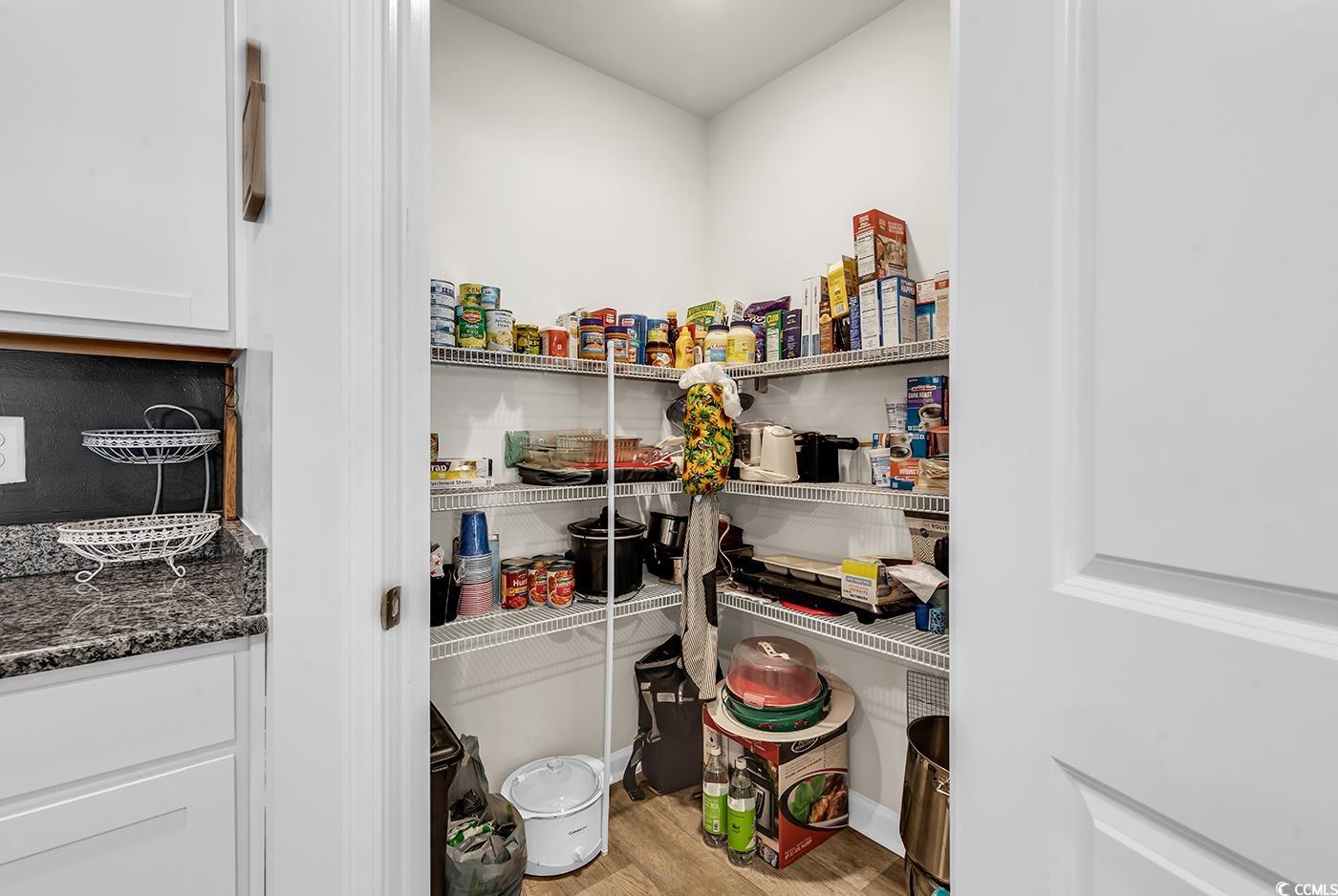 164 Seasons Trace Loop Longs, SC 29568 - Photo 14 of 40 View of pantry