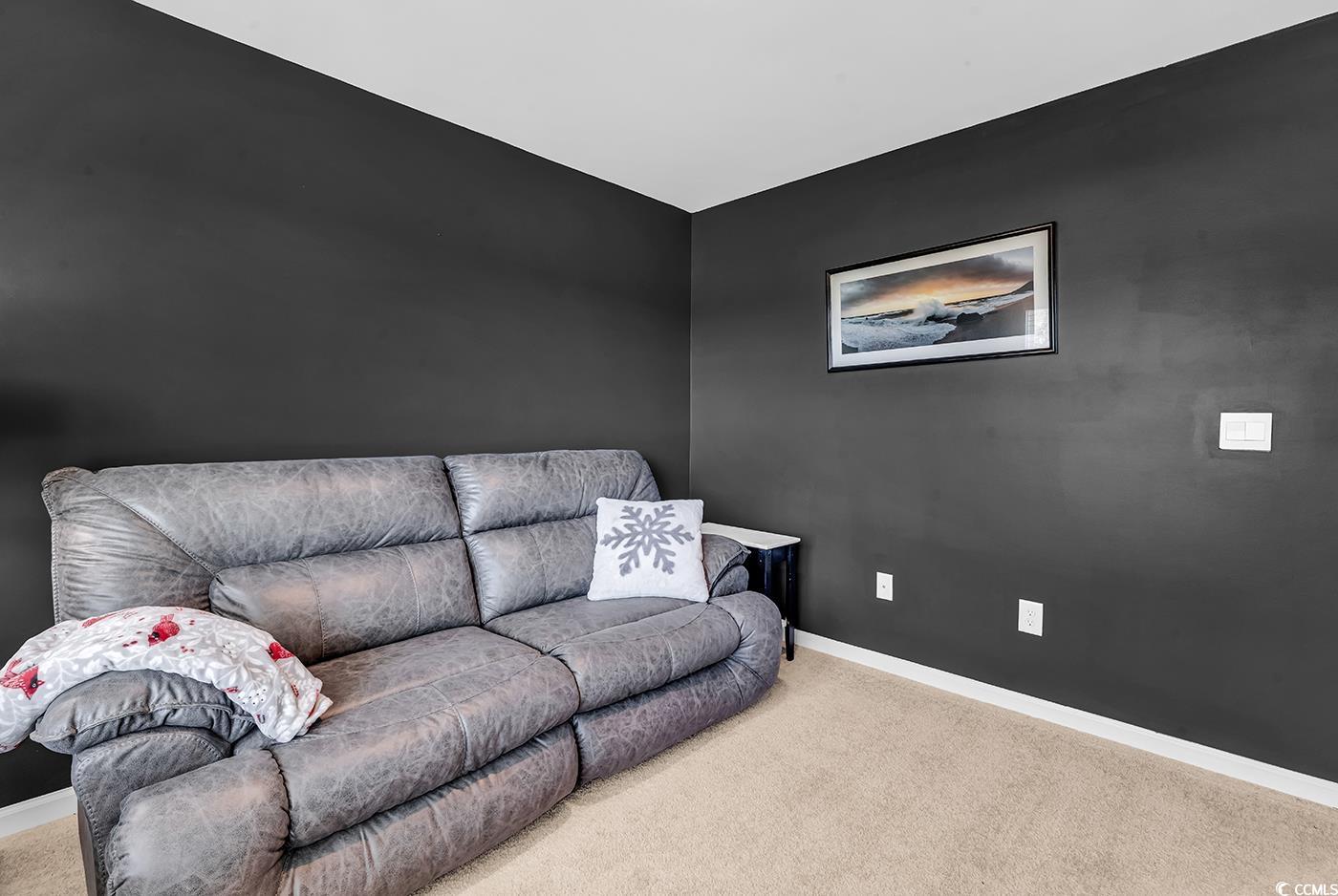164 Seasons Trace Loop Longs, SC 29568 - Photo 24 of 40 Living area with carpet flooring and baseboards