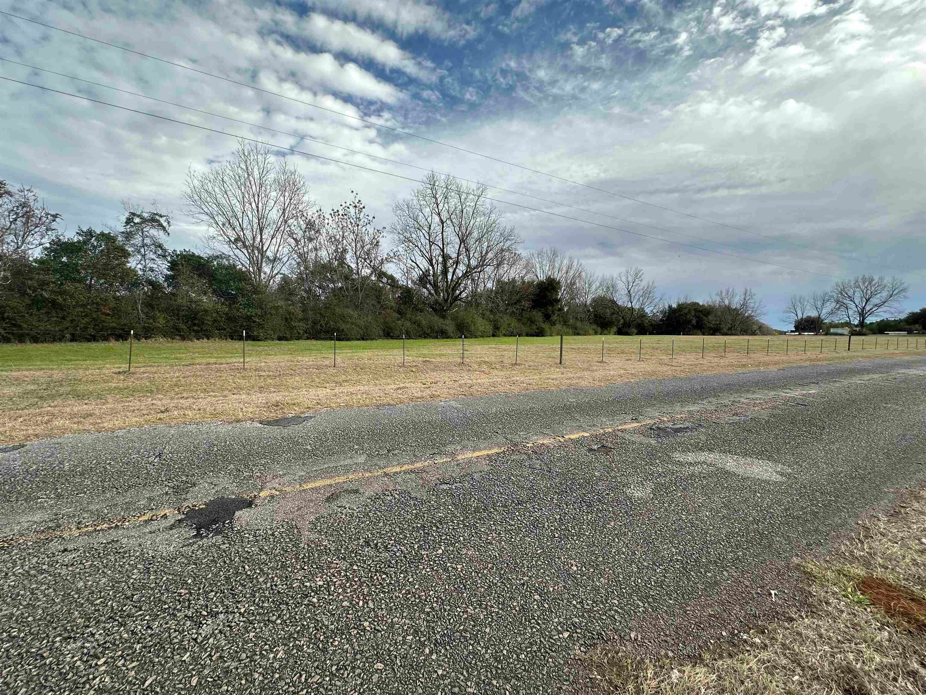 10-ac Bates Road Red Level, AL 36474 - Photo 5 of 11 Gallery Image 5