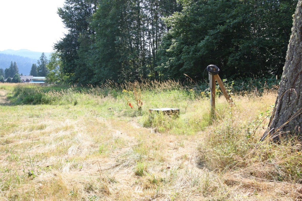 2660 North Shore Road Bellingham, WA 98226 - Photo 6 of 23 Gallery Image 6