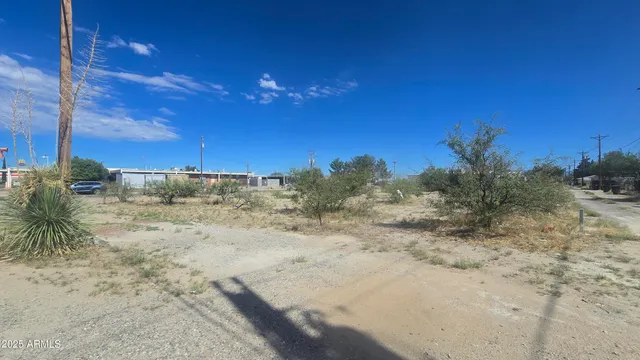 a view of a dry yard with wooden fence