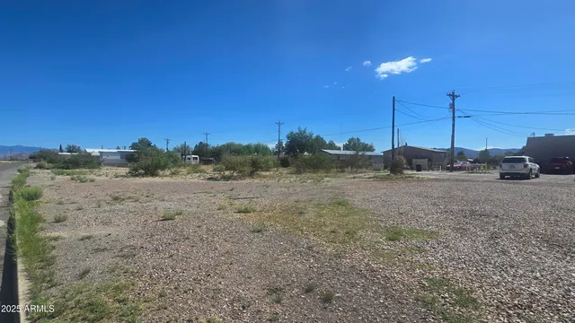 a view of a dry yard with trees