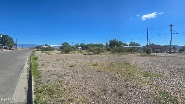 a view of a dry yard with trees