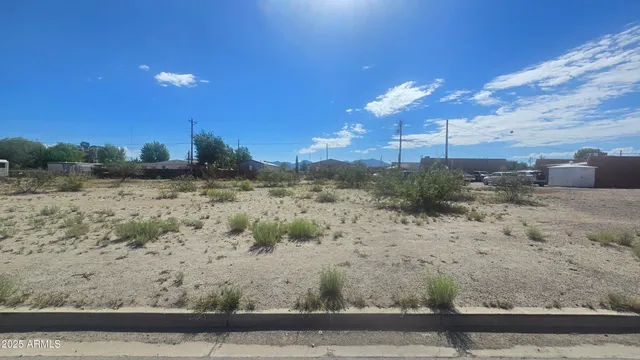 a view of a yard with a lake view