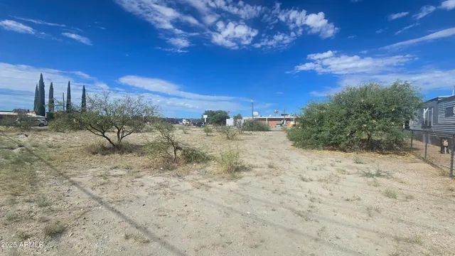 a view of a dry yard with trees