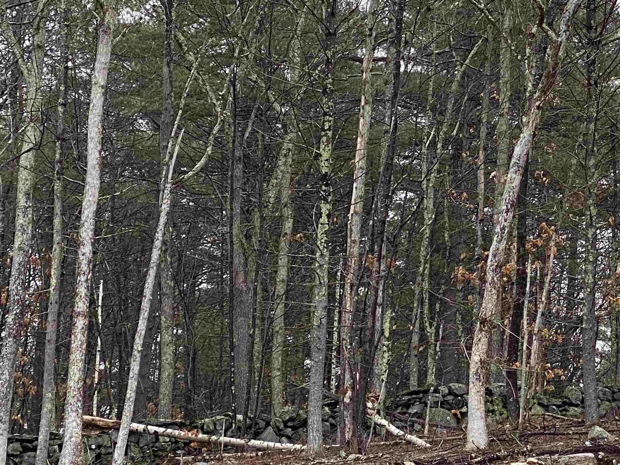 6 Chapin Road Windham, NH 03087 - Photo 6 of 6