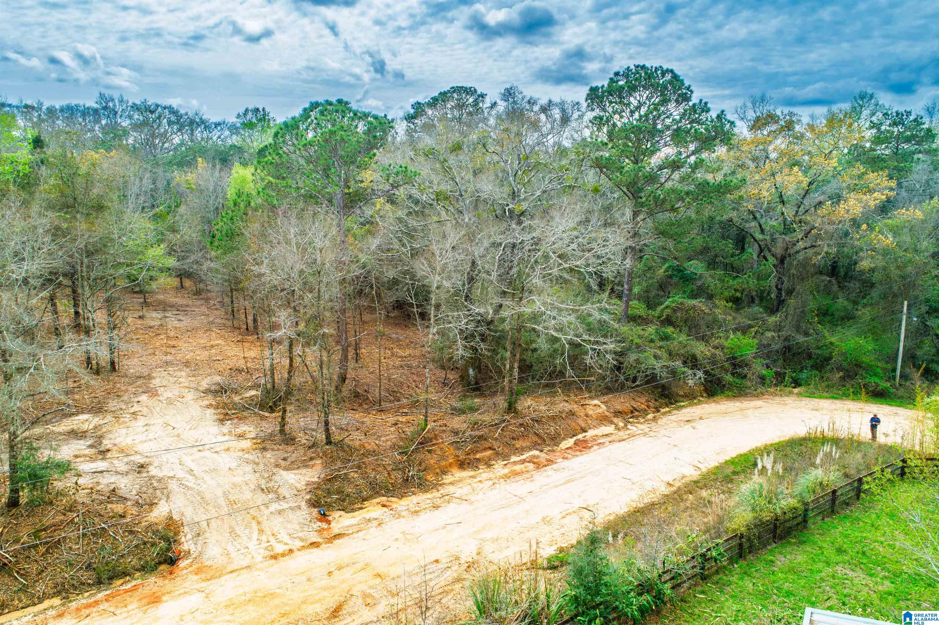 27180 Deer Run Road Opp, AL 36467 - Photo 33 of 60