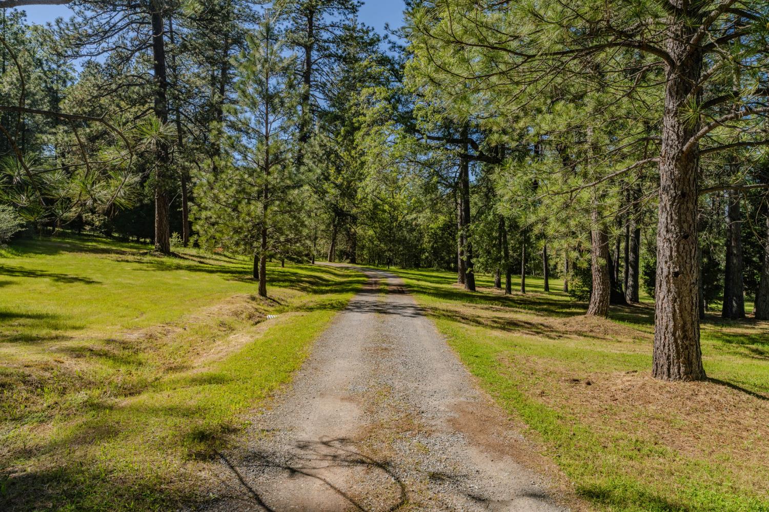 211 Fox Road Glencoe, CA 95232 - Photo 79 of 94