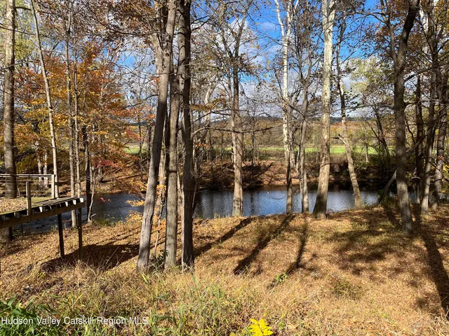 a view of a yard with large trees
