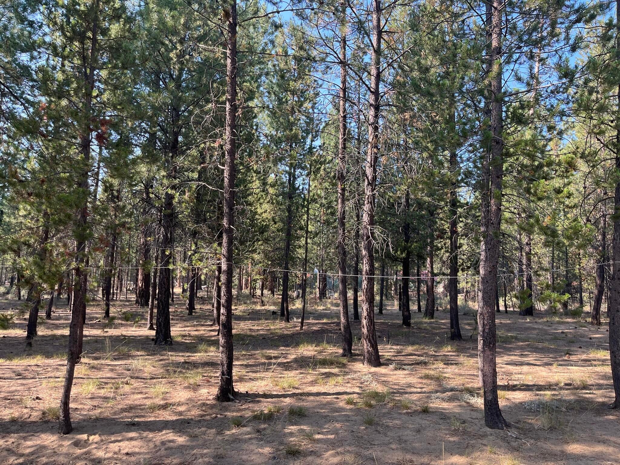 15886 Old Mill Road La Pine, OR 97739 - Photo 9 of 26 0D1F50DB-3C71-4B02-B70F-3E871962C7AD