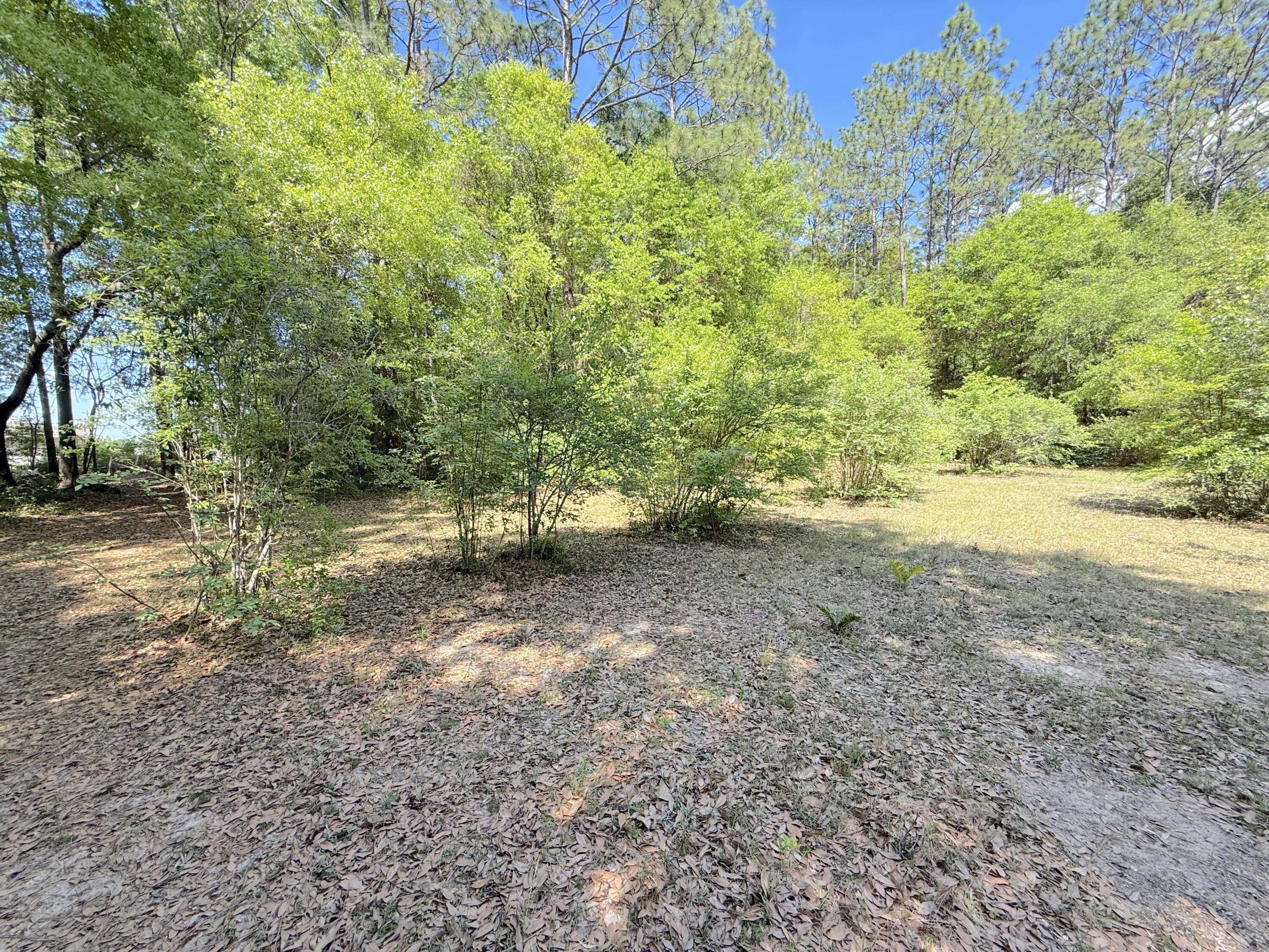 5981 Old Bethel Road Crestview, FL 32536 - Photo 61 of 76 43 5981 Old Bethel Rd