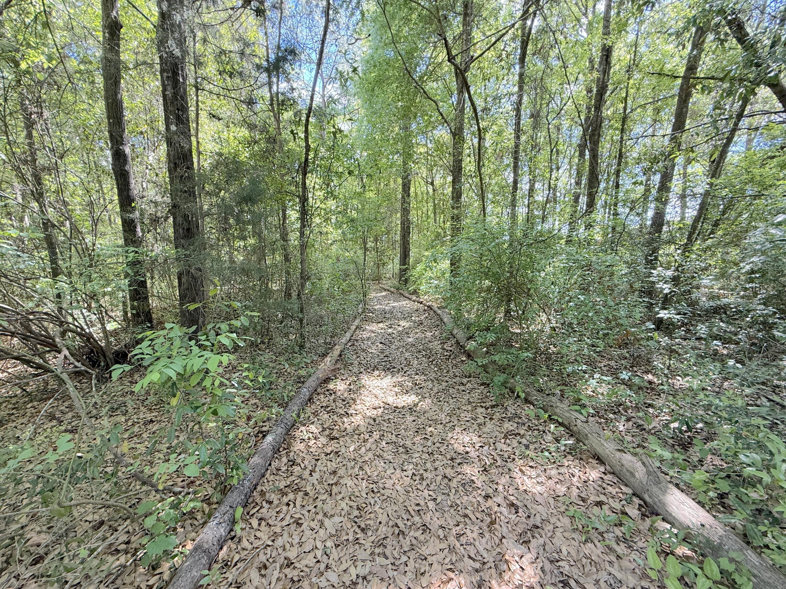 5981 Old Bethel Road Crestview, FL 32536 - Photo 66 of 76 41 5981 Old Bethel Rd