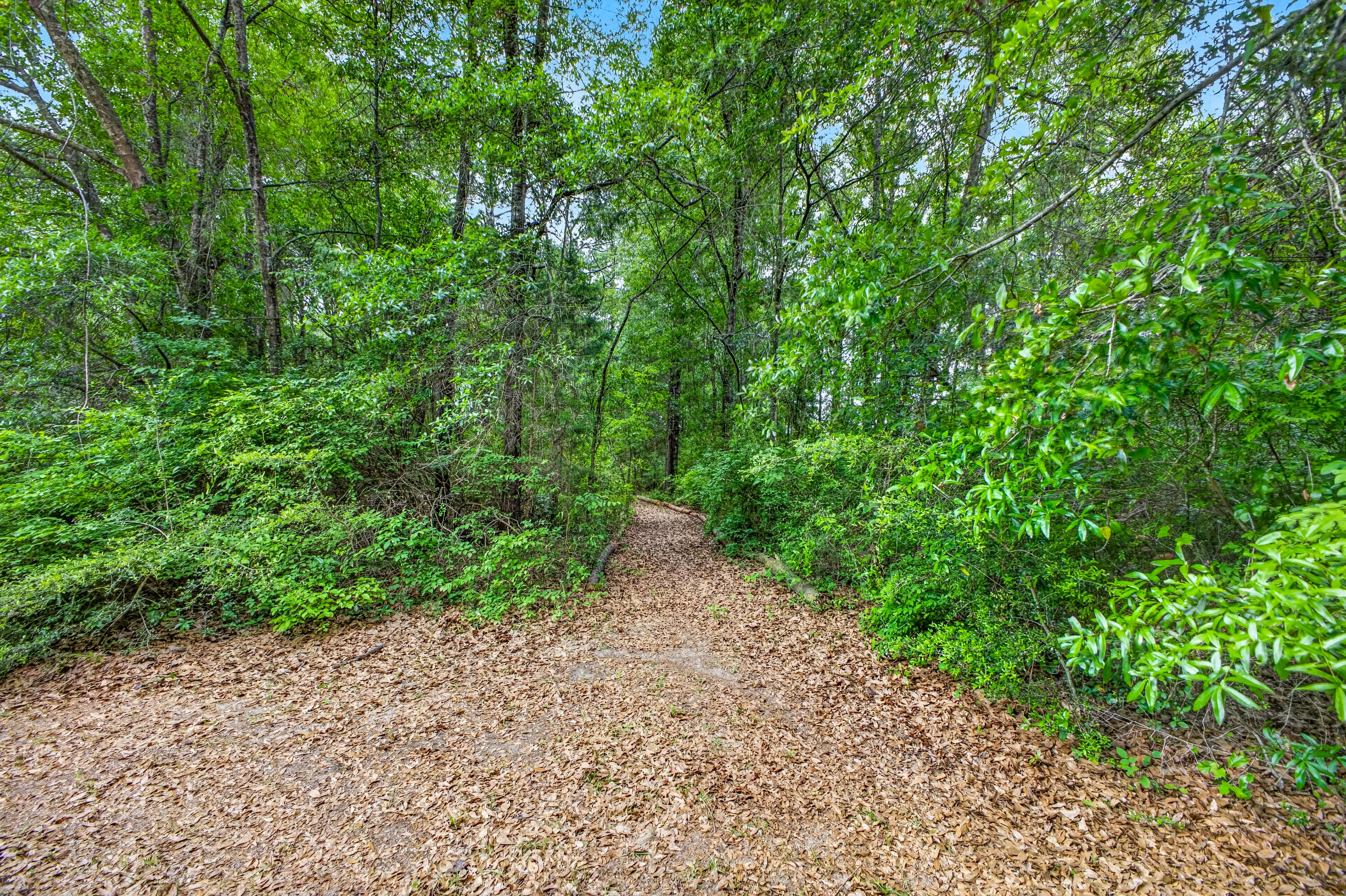 5981 Old Bethel Road Crestview, FL 32536 - Photo 68 of 76 5981 Old Bethel Rd 65