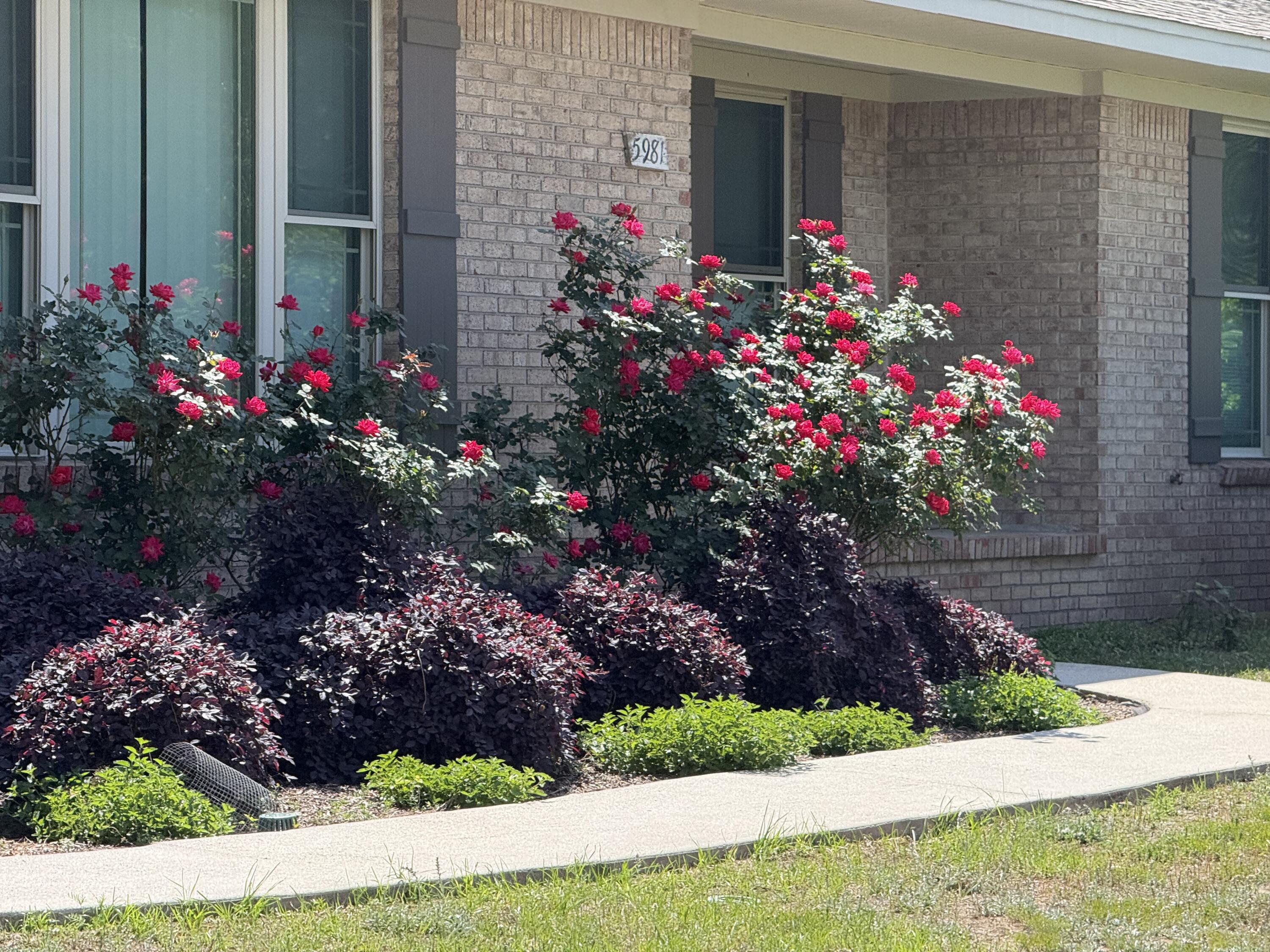 5981 Old Bethel Road Crestview, FL 32536 - Photo 7 of 76 The Front Entry
