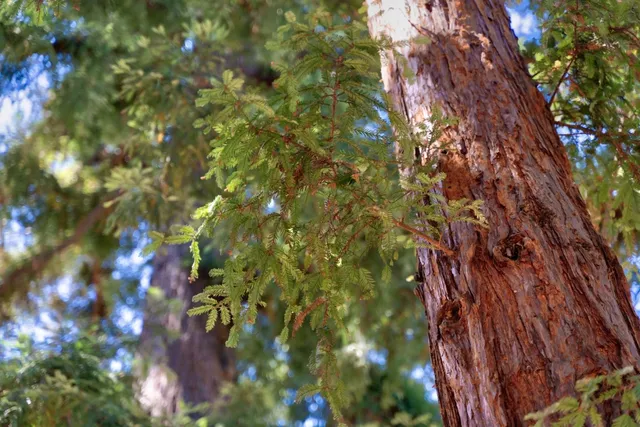 a living room with stairs and a wooden floor