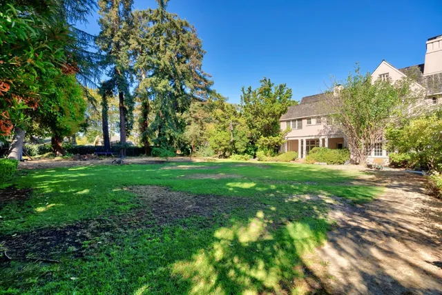 a view of a street sign under a large tree