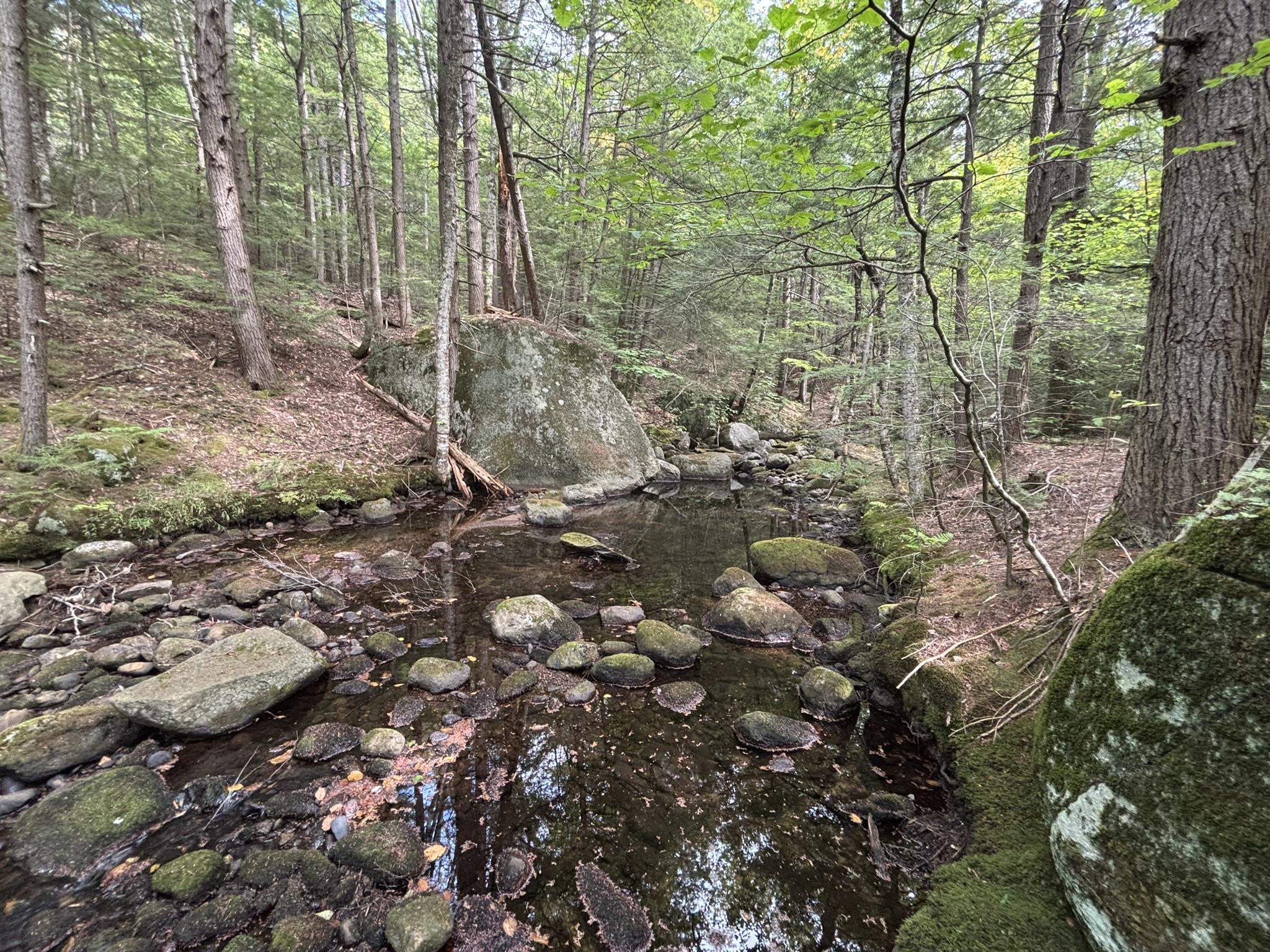 Off Wilder Farm Road, Unit R007002012 Peterborough, NH 03458 - Photo 11 of 15
