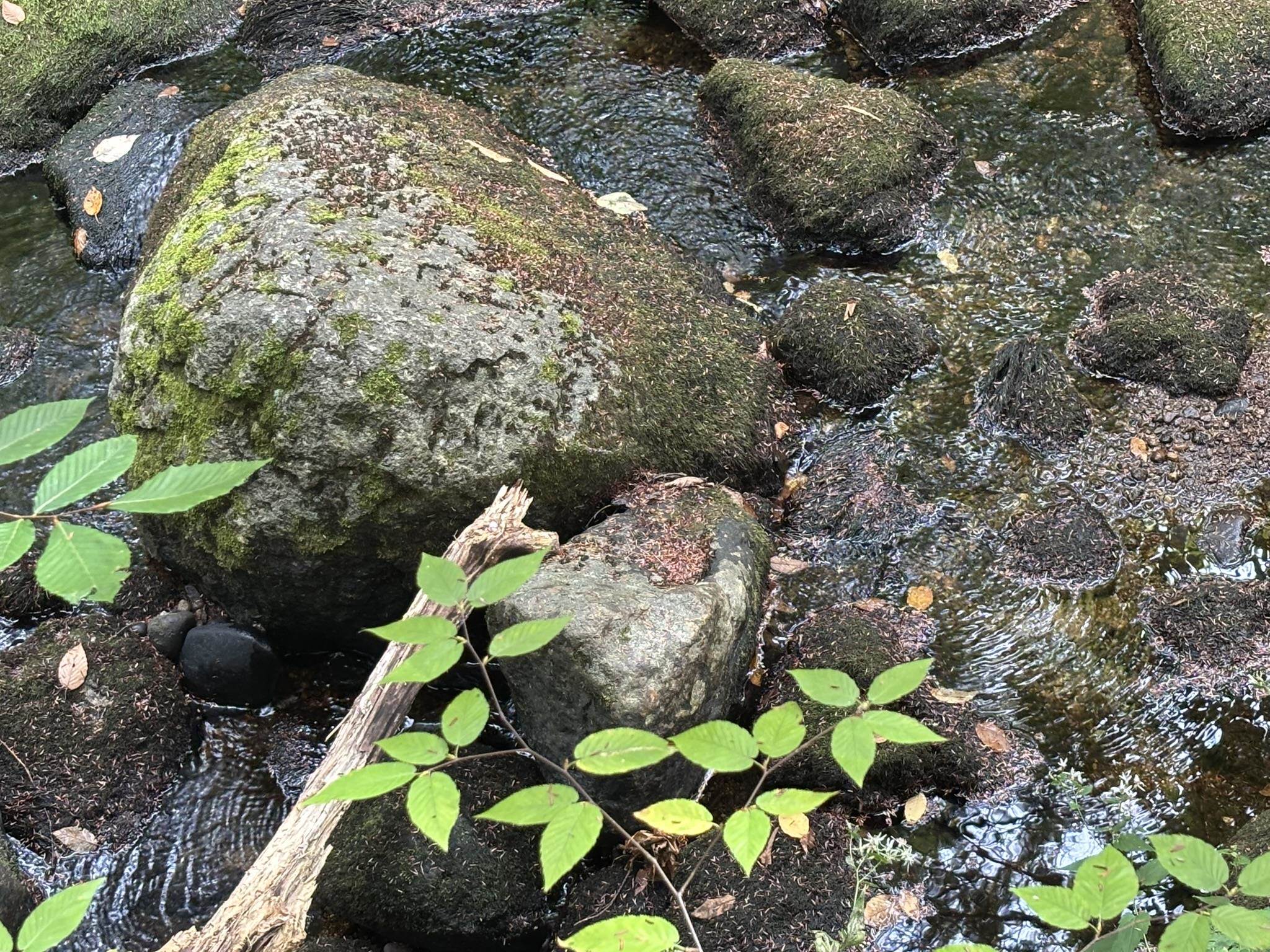 Off Wilder Farm Road, Unit R007002012 Peterborough, NH 03458 - Photo 12 of 15
