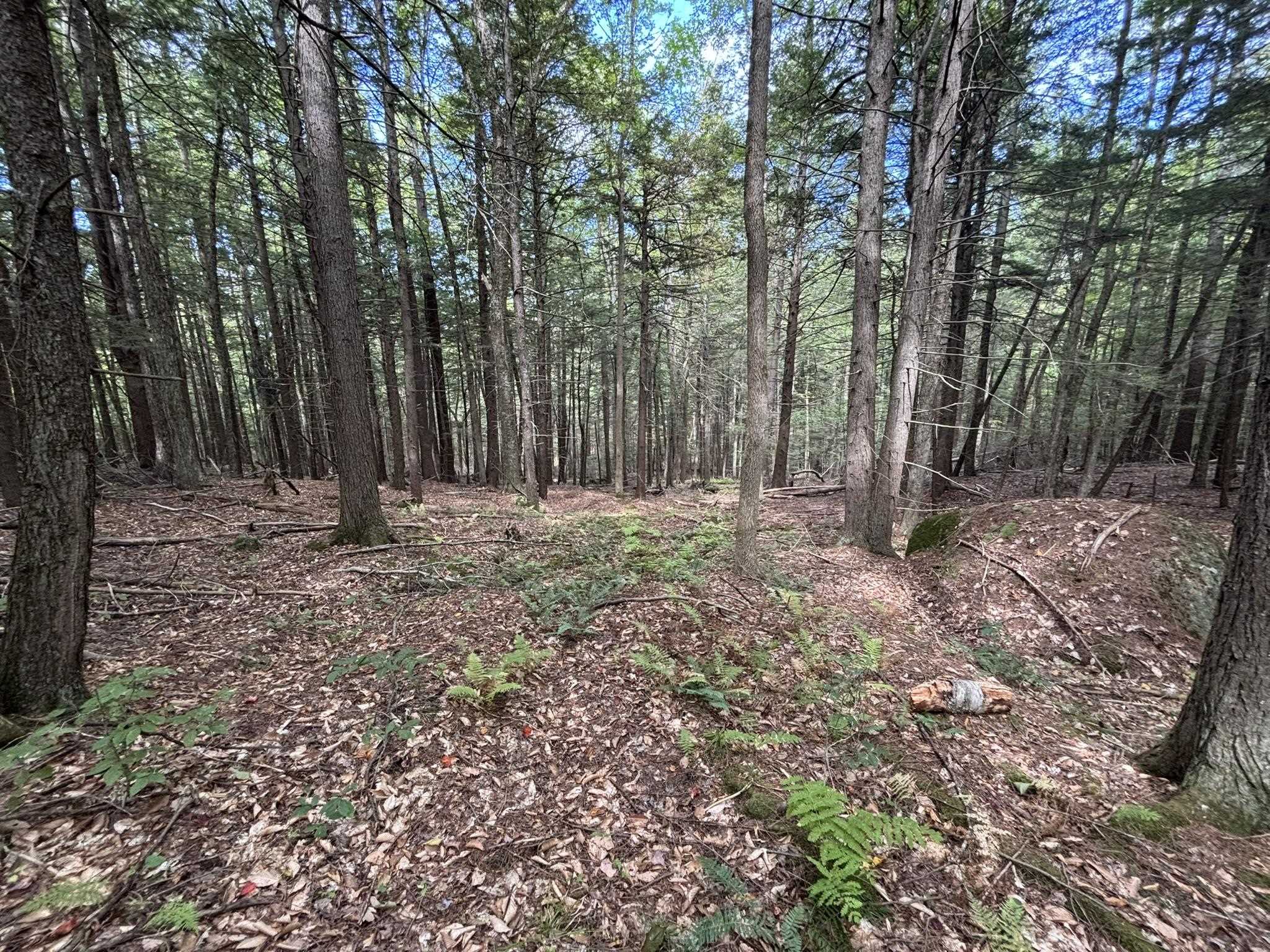 Off Wilder Farm Road, Unit R007002012 Peterborough, NH 03458 - Photo 13 of 15