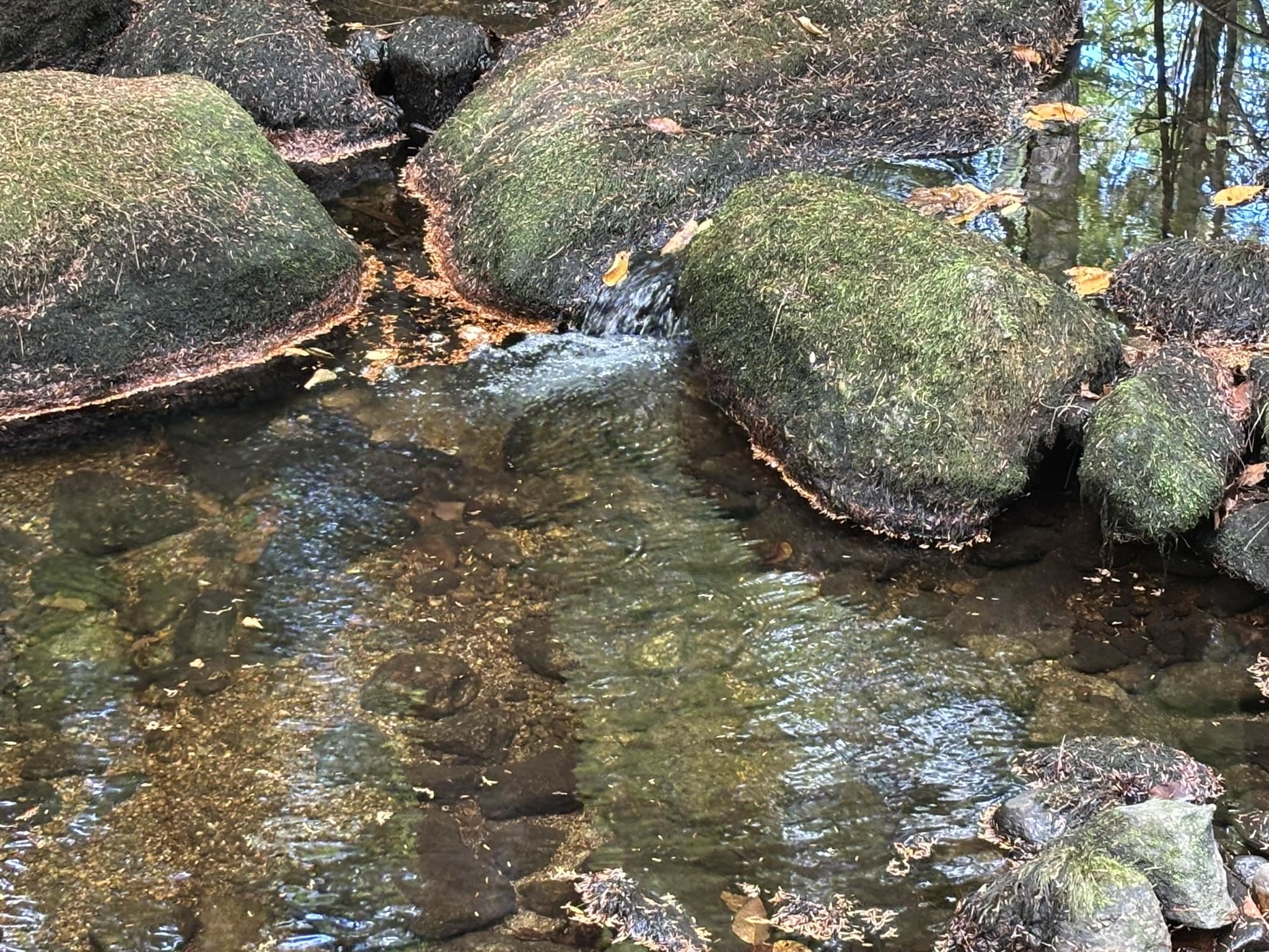 Off Wilder Farm Road, Unit R007002012 Peterborough, NH 03458 - Photo 14 of 15