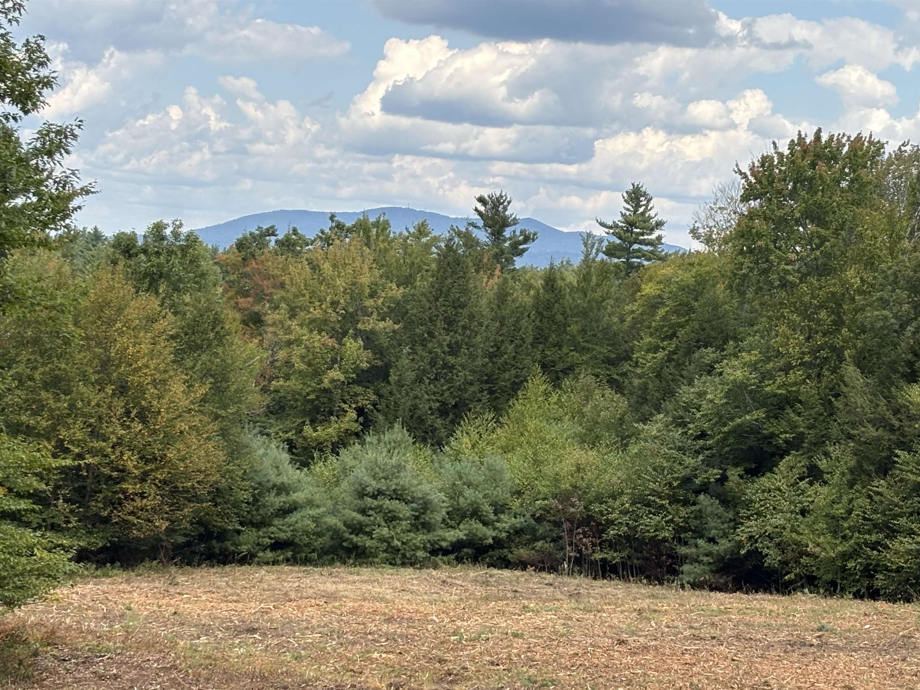 Off Wilder Farm Road, Unit R007002012 Peterborough, NH 03458 - Photo 7 of 15