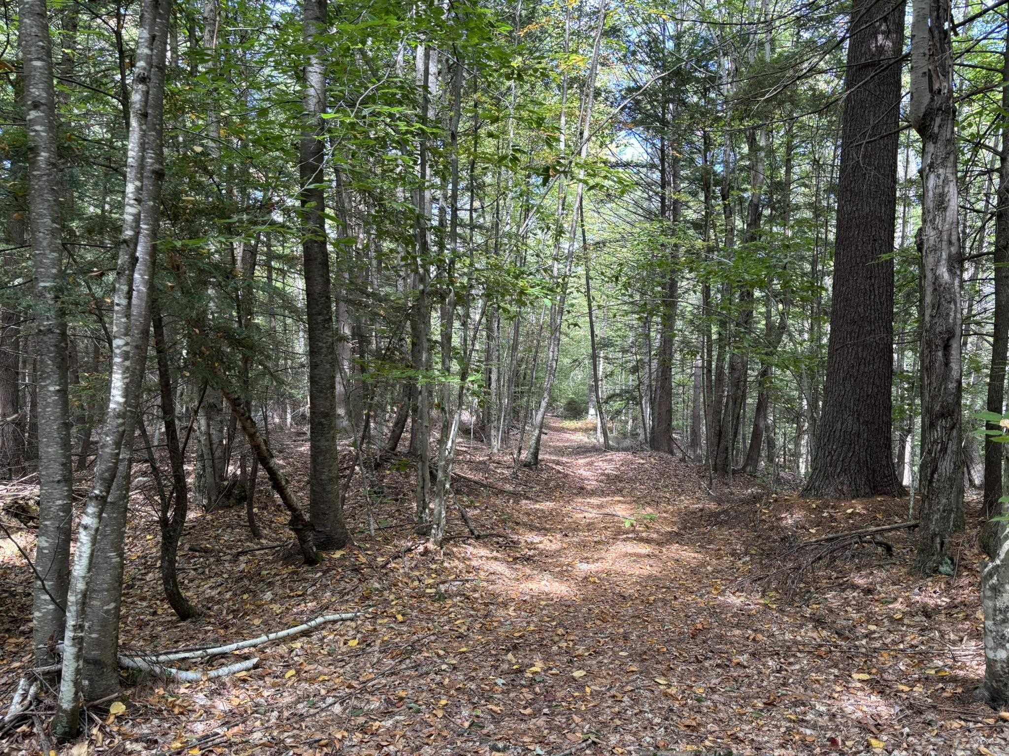 Off Wilder Farm Road, Unit R007002012 Peterborough, NH 03458 - Photo 10 of 15