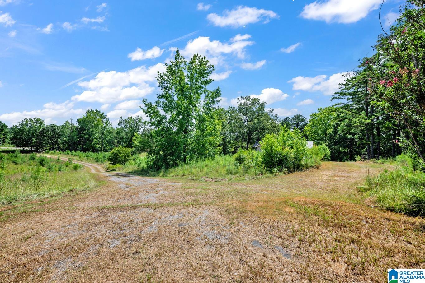 587 Mountain Drive Remlap, AL 35133 - Photo 24 of 34