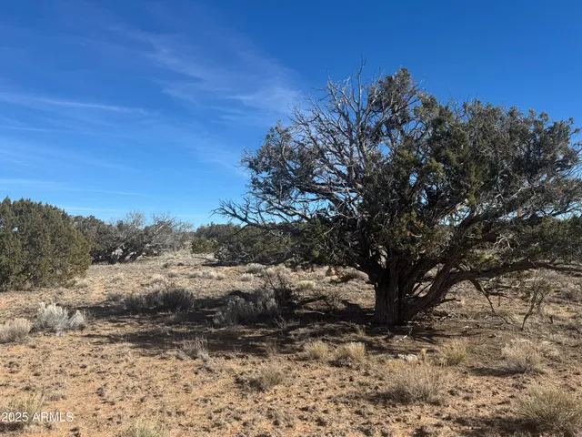 $37,000 | Lot 98 Woodland Valley Ranch, Unit 98, St. Johns, AZ 85936