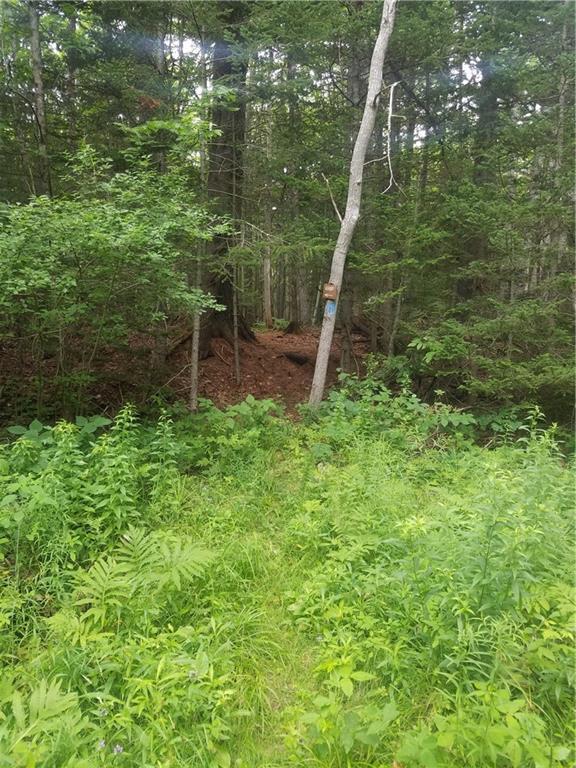 0 Dunbar Road Thomaston, ME 04861 - Photo 4 of 6 Existing hiking path on parcel
