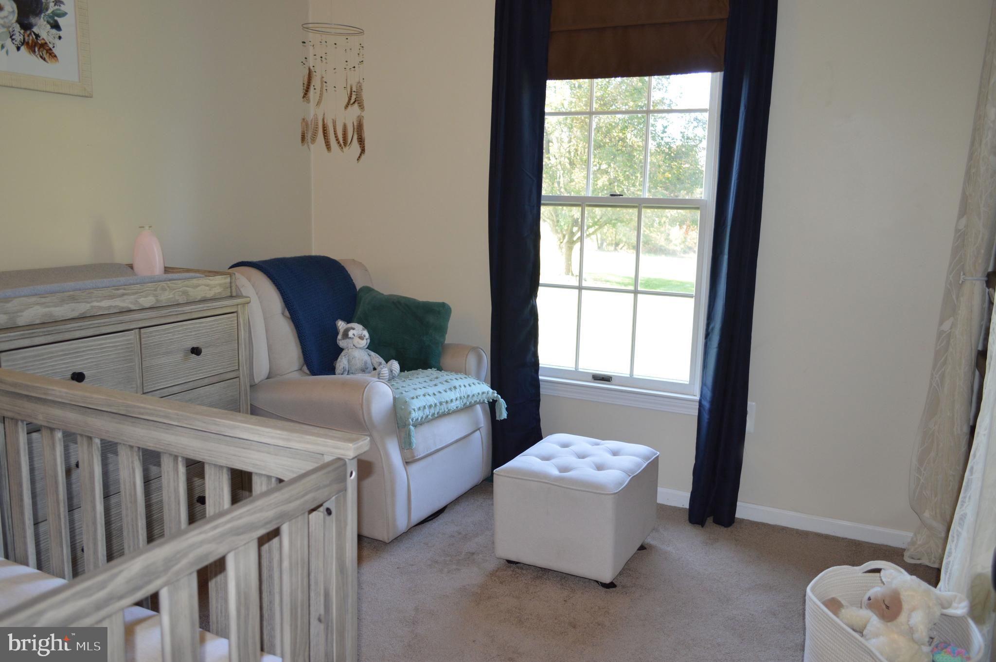 3137 Bullfrog Road Taneytown, MD 21787 - Photo 11 of 18 Bedroom #3