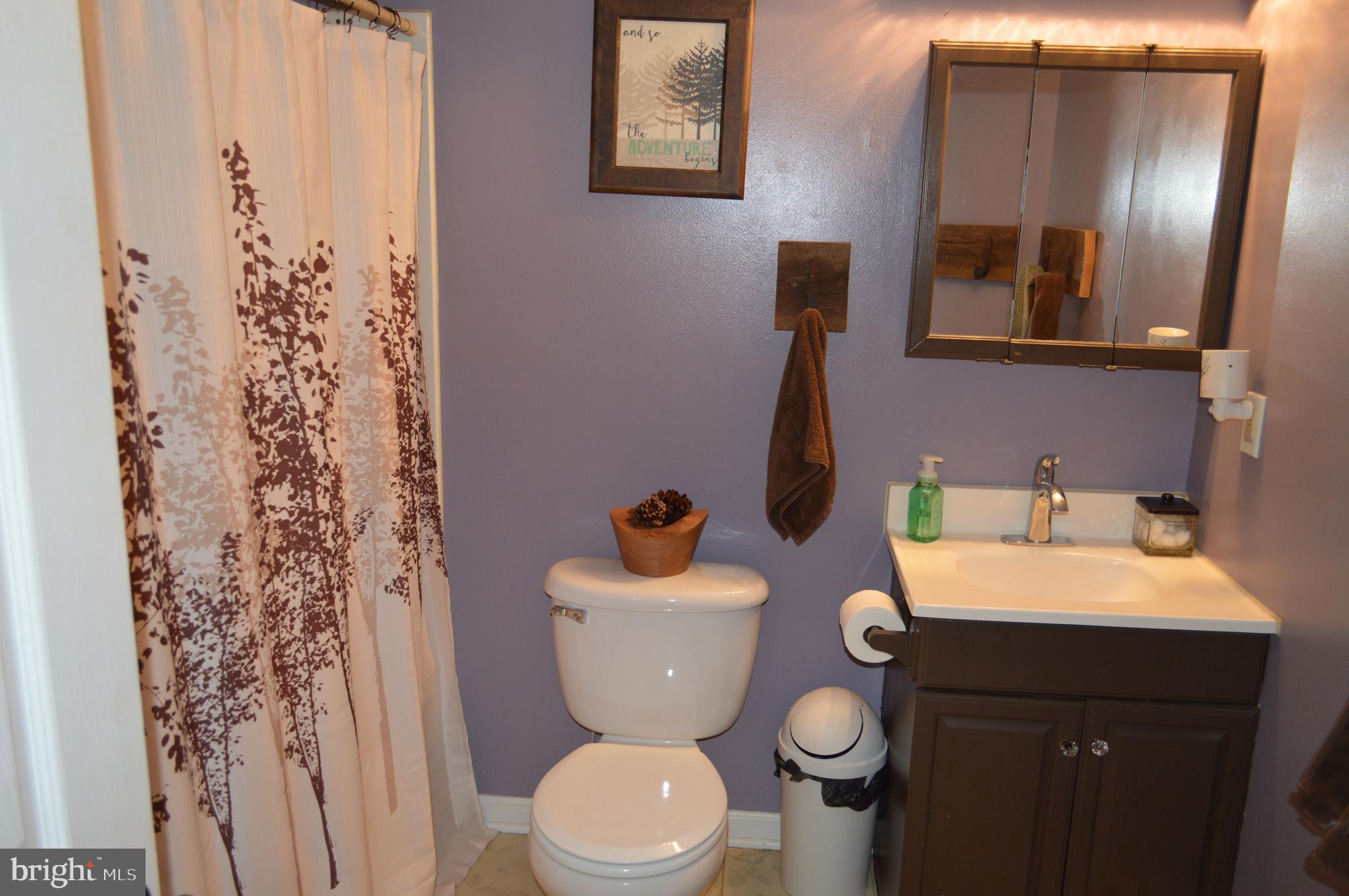 3137 Bullfrog Road Taneytown, MD 21787 - Photo 12 of 18 Bathroom #2