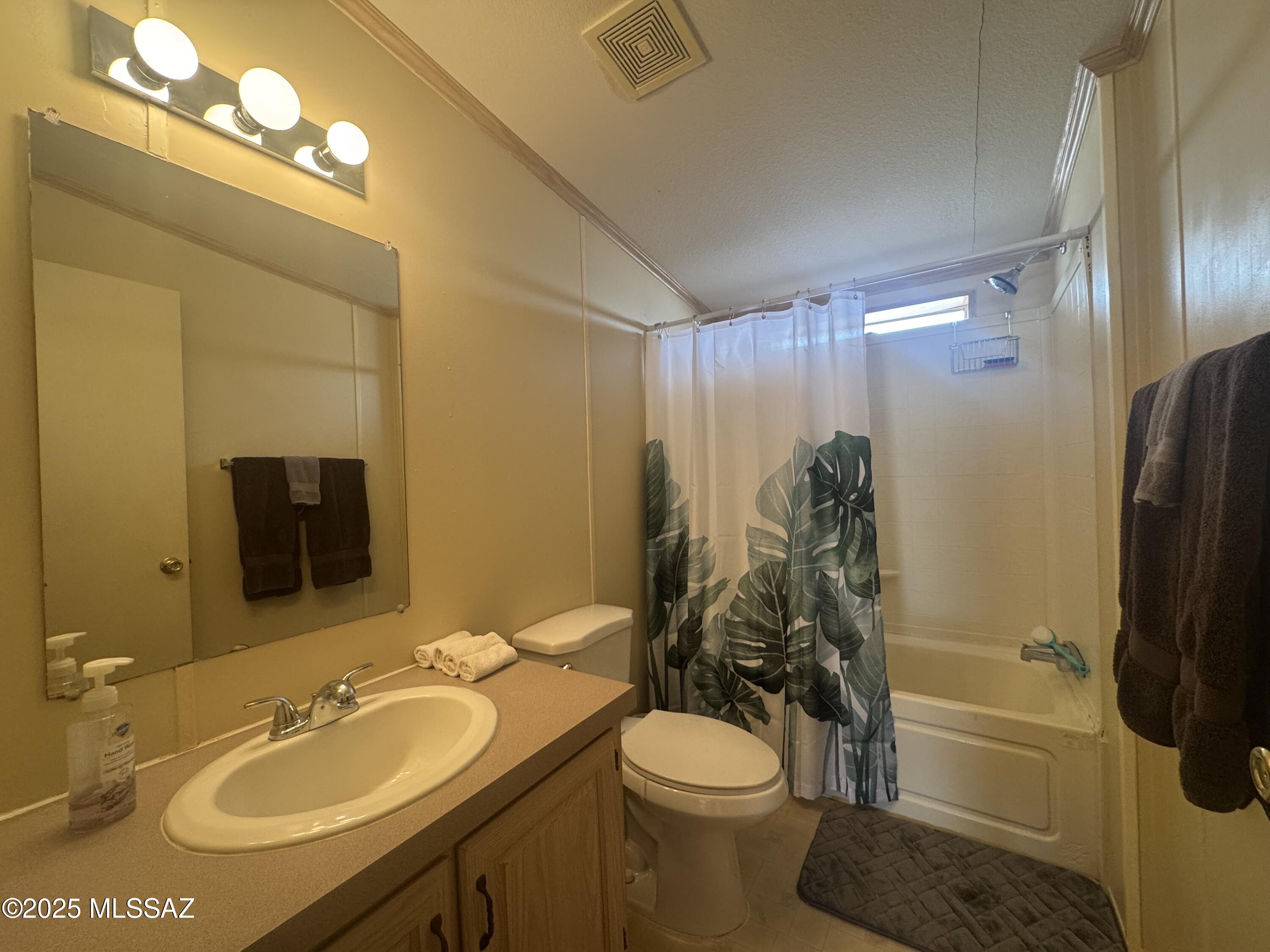 12440 South Coleman Road Tucson, AZ 85735 - Photo 33 of 45 a bathroom with a sink a toilet and shower