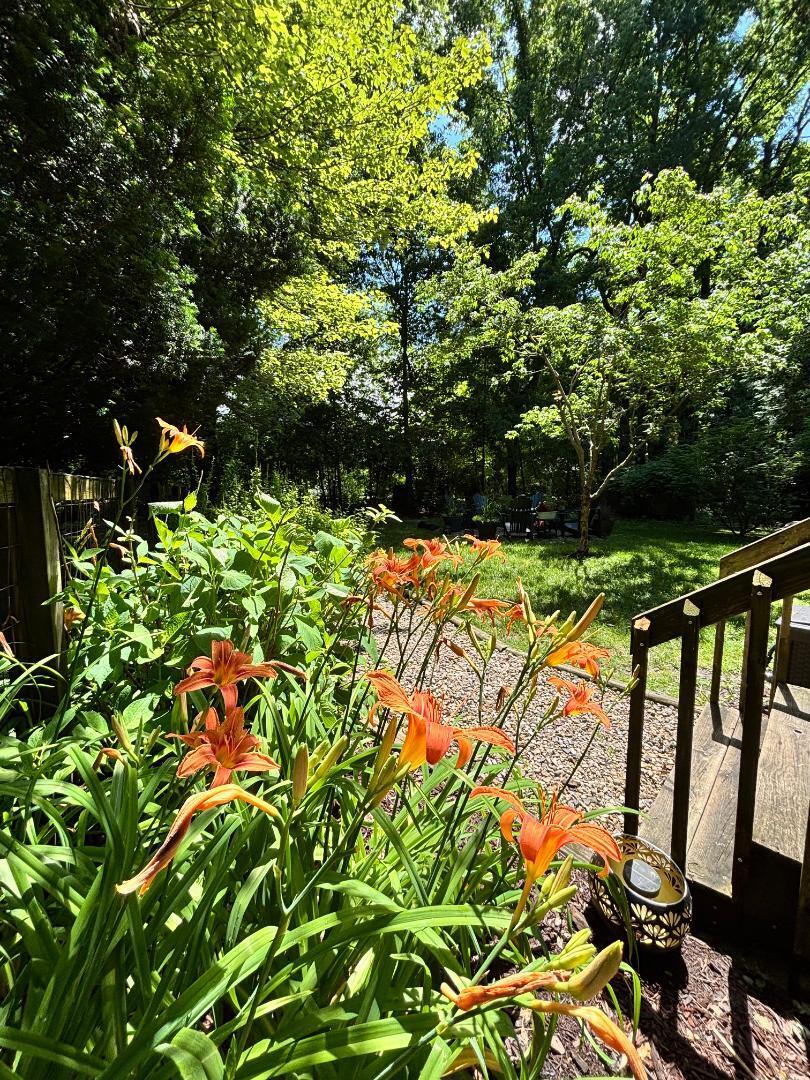 8702 Elm Valley Road Three Oaks, MI 49128 - Photo 15 of 17 lillies