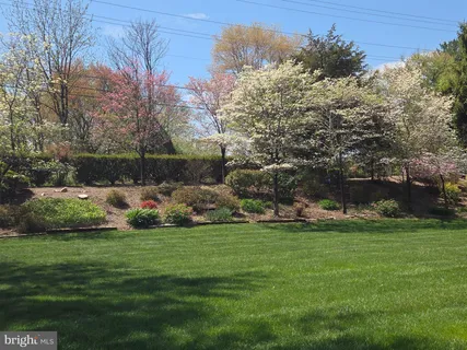 a view of a green field