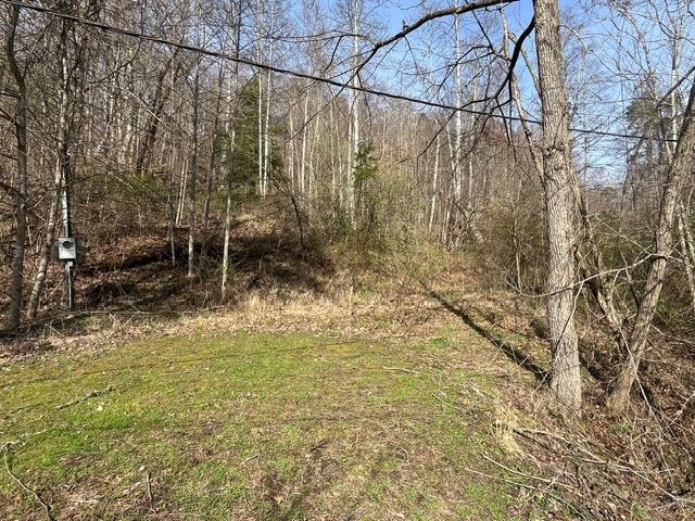 326 Earl Crisp Road Sandy Hook, KY 41171 - Photo 1 of 10