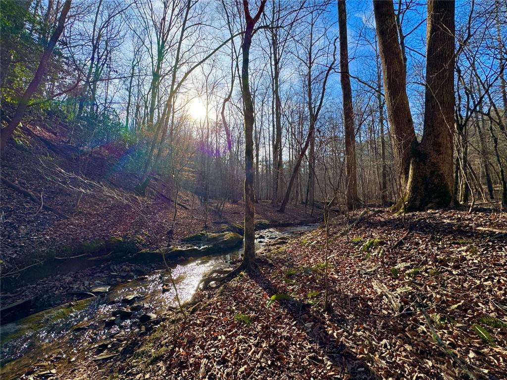 9-5 Bethany Road Jasper, GA 30143 - Photo 11 of 16